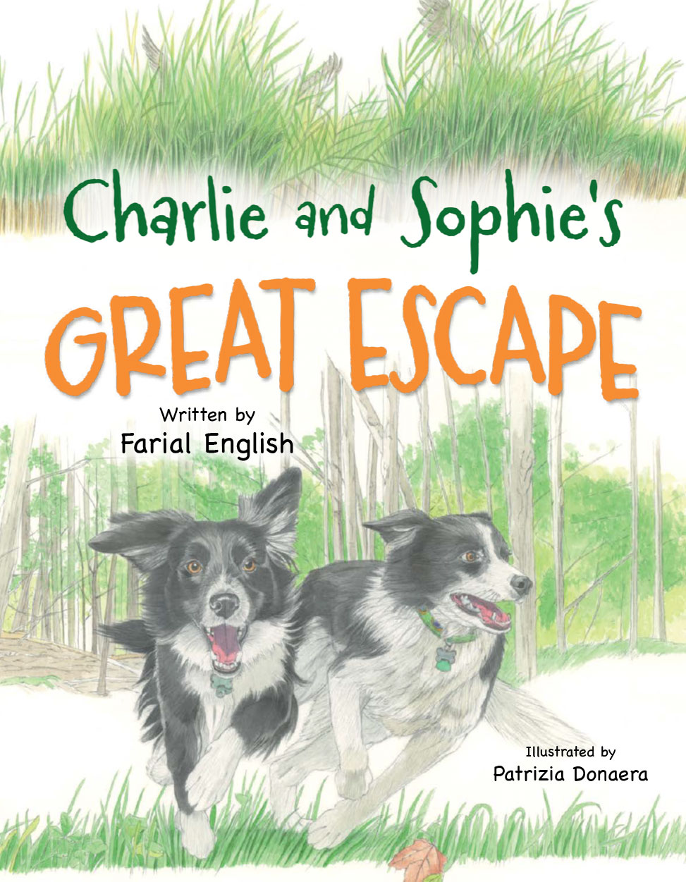 charlie and sophie's great escape cover